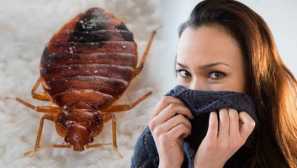 Byť alebo nebyť posteľným plášťom a čím sa obávajú: toto je otázka!